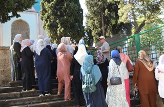 Gemlik Belediyesi Kültür Turları Kurtul Mahallesi ile Devam Etti